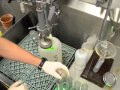 Extraction of Nematodes from Soil