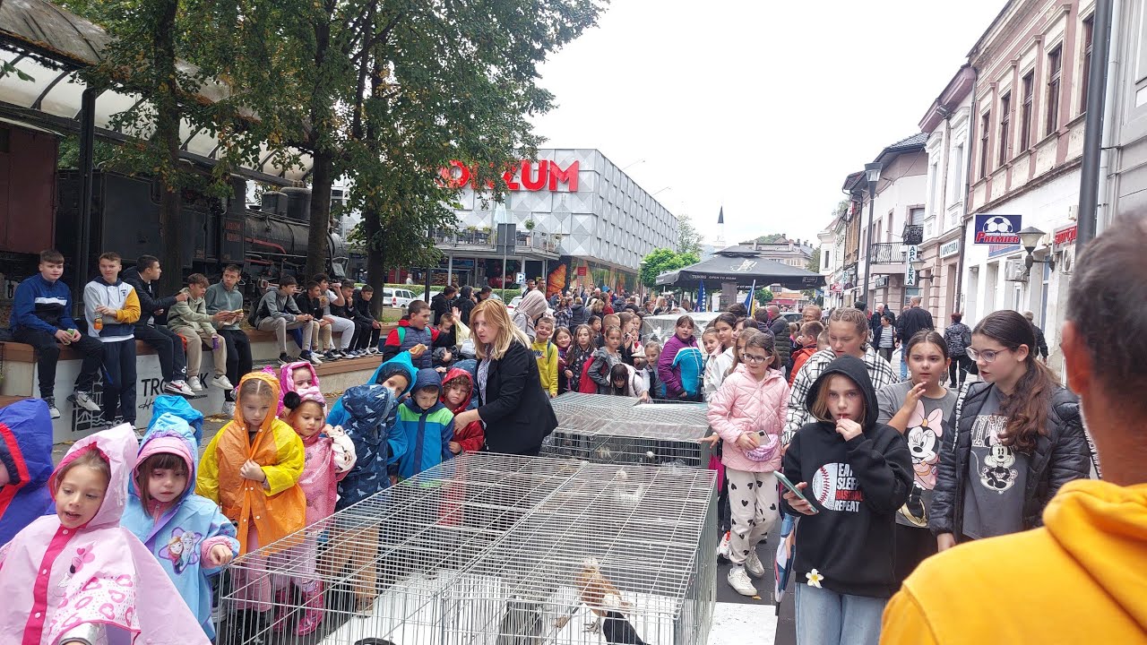 IZLOŽBA SITNIH ŽIVOTINJA NA TRAVNIČKOM KORZU POSEBNO ZANIMLJIVA NAJMLAĐIMA