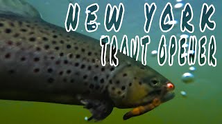 Opening Day of New York Trout Season 2022 (Underwater Footage)