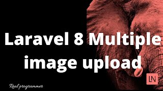 Laravel 8 Multiple image upload