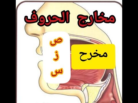 مخارج الحروف مخرج الأحرف ص ز س