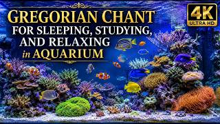 GREGORIAN CHANT FOR SLEEPING, STUDYING, AND RELAXING in AQUARIUM #AquariumRelaxation screenshot 1