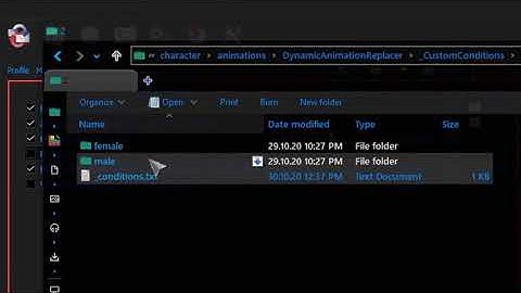 Dynamic Animation Replacer random idle animations, Setting up DAR for randomize Animations