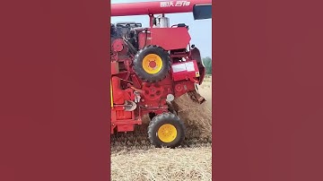 Smart technique for plowing dry rice with modern machines #shorts