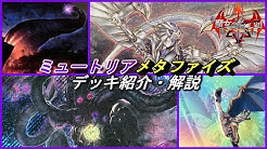 遊戯王ocg魔女の騎士団 Youtube