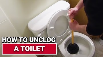 How to Unclog a Toilet - Ace Hardware
