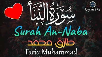 سورة النبأ طارق محمد