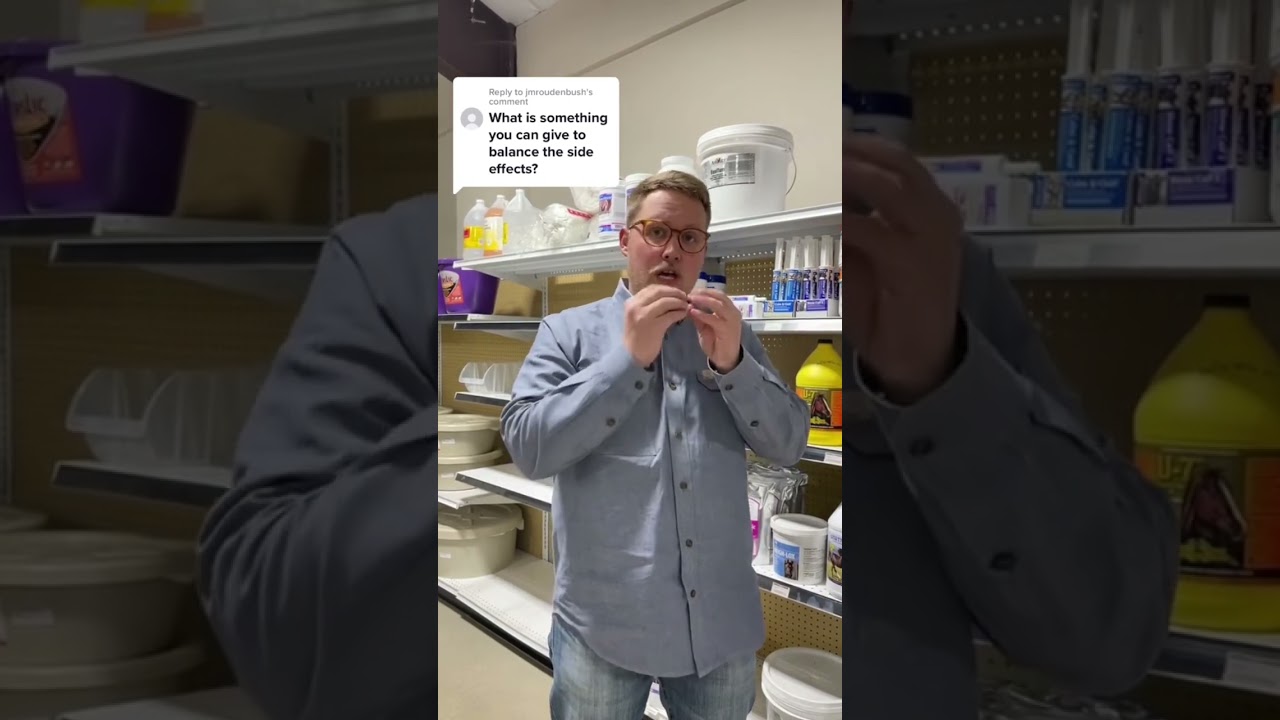 When dealing with your horse’s ulcers, try to fix the environment of the horse