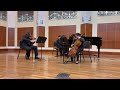 Bedrich Smetana, Piano Trio in g minor, Op. 15: I. Moderato assai
