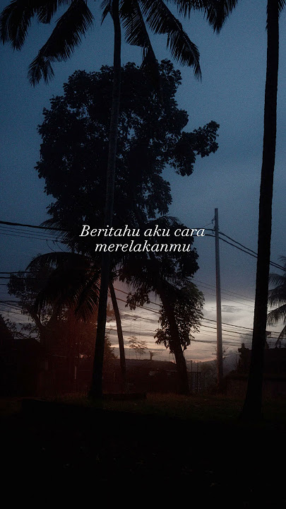 Lirik Lagu Serena-For Revenge || Story WA #serena