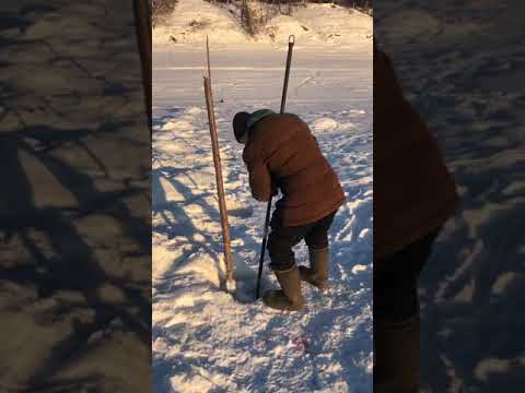 Видео: Река Амга: природни условия, характеристики, местоположение