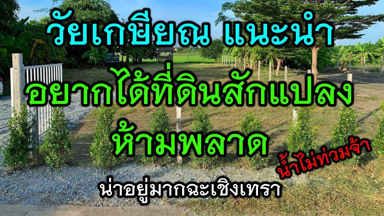 (ขายแล้ว)โปรเจคบ้านสวนวัยเกษียณ201ตารางวา แปดริ้วใกล้วัดโสธร ทำเลทองน่าอยู่ น้ำไม่ท่วม อากาศดีครับ