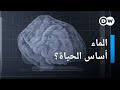 لماذا يحتاج الجسم للماء صحتك بين يديك