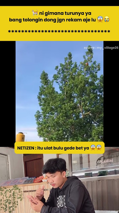 🐈 ni gimana turunya ya, bang tolongin dong jgn rekam aje lu 😱😭