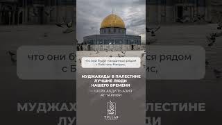 ℹ️ Шейх Тарифи — Муджахиды в Палестине лучшие люди нашего времени