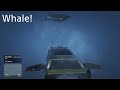 GTA5- A cool whale encounter.
