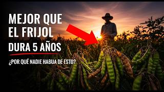 Mejor Que el Frijol — Produce 5 Años Sin Replantar