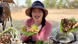 ป่นแมงแคงกินกับหน่อข่า ປົ່ນແມງແຄງກິນກັບໜໍ່ຄ່າ