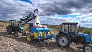 Тільки проблемний посів! По іншому не вміємо :-)