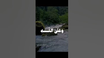 #راحة_نفسية القارئ محمد صديق المنشاوي #viralvideo #اكسبلور #القرآن_الكريم #ايات_قرانيه_قصيره #قرآن