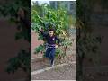 📸 Meri Photo Se AI Dance Ban Gaya 😱💃 | Magic Transformation Video | Viral AI Shorts