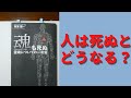 【名文を書きました】魂も死ぬ　内海 聡 (著)