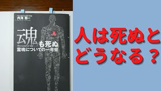 【名文を書きました】魂も死ぬ　内海 聡 (著)