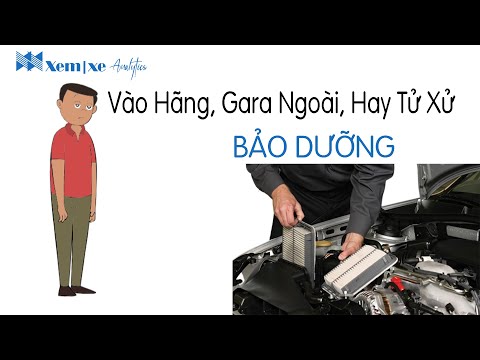 Video: Ai và khi nào thì bảo trì