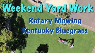 Weekend Yard Work | Rotary Mowing Kentucky Bluegrass