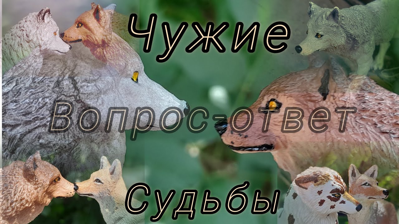 ЧУЖИЕ СУДЬБЫ//Вопрос-ответ в актёрами сериала