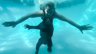 UNDERWATER MONKEY