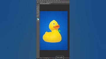 How to zoom in & out in Photoshop