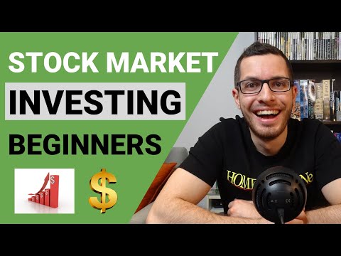 WHAT IS STOCK MARKET INVESTING | STOCKS EXPLAINED | Millennial Investing Guide Chapter 2