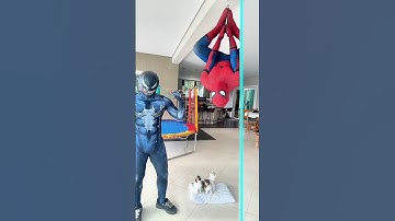 Vídeos que não deram certo (com venum )  #33