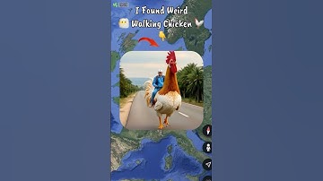 I Found Strange Walking Chicken 🐓 on google earth and google maps 🌎! #shorts #ese8927 #earth #maps
