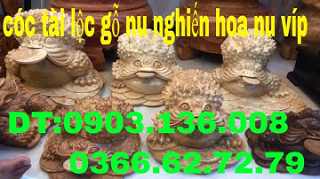 Cóc tài lộc (thiềm thừ ) chất liệu Nu nghiến ,Xá Xị siêu nu tự nhiên