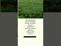 عجيب ابداع اقنباسات العلم تعليم دايت لايك ترند العظماء معلومات عجيب ابداع اقنباسات العلم تعليم دايت لايك ترند العظماء معلومات