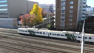 【フリー動画】185系の修学旅行臨時列車が与野近辺を通過