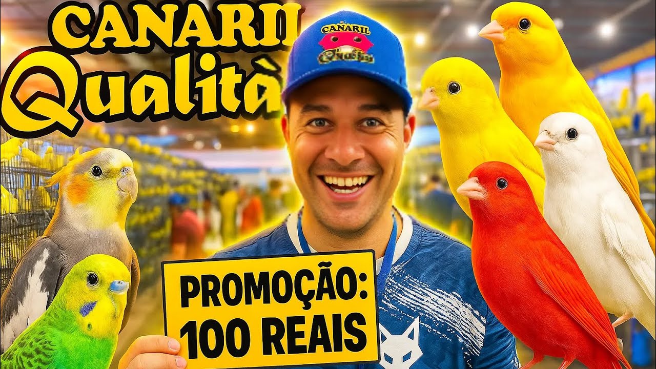 Preço das Aves no Campeonato Brasileiro FOB 2025 - Parte 2