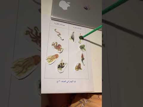 ليان الهمزاني الحيوانات الفقارية واللافقارية