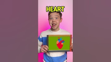 ✨ FUN Organs Learning With DINOSAUR BODY 🦖 #kids #learn