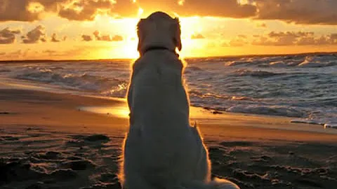 Cosa scrivere su un tramonto?