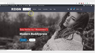Reign Theme Classic Demo Install