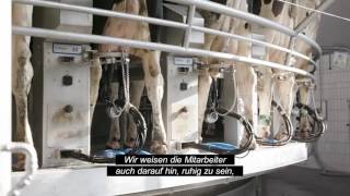 Full DeLaval Parallelmelkkarussell PR3100 und Zitzensprayroboter TSR - Aalberts-Krap GmbH News