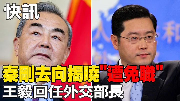 陆外长秦刚去向揭晓"遭免职" 王毅回任外交部长 @Global_Vision - 天天要闻