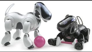 Город роботов Животные роботы Robots' city Город роботов Животные роботы Robots' city