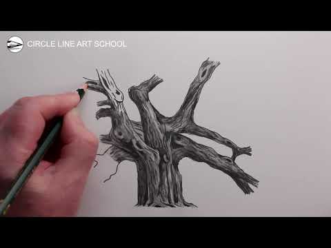 How to Draw an Oak Tree: Pencil Drawing Fast Version