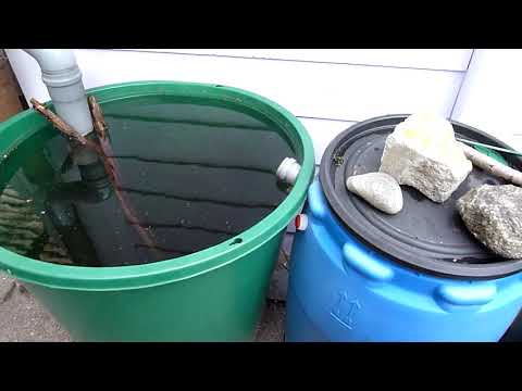 Video: Rainwater Collection - Regenwasser mit Regentonnen sammeln