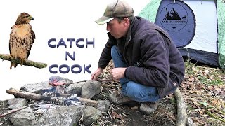 CATCH AND COOK WITH A HAWK  ACR Outdoors Falconry