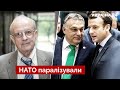 ☝️ПІОНТКОВСЬКИЙ: У НАТО є чотири вороги України, які працюють на путіна  / новини - Україна 24